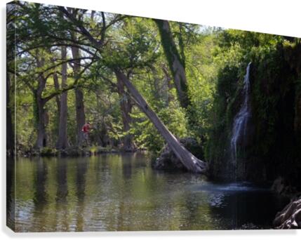 Summer Fun Canvas Print