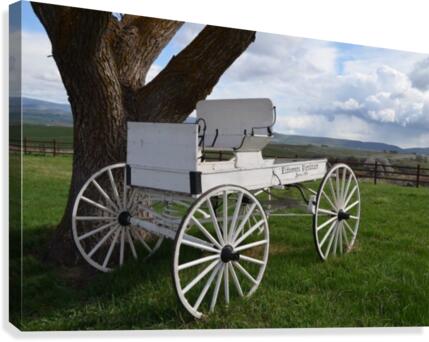 Spring Fields Canvas Print