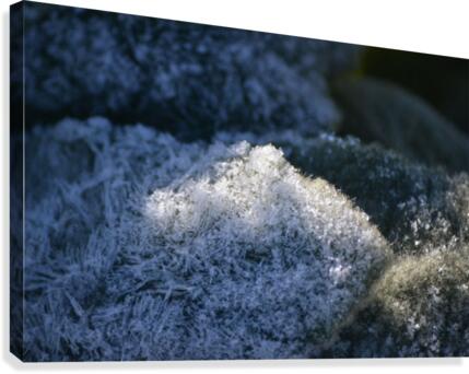 Frozen Crystals Canvas Print