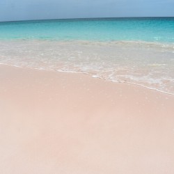 Pink Sands