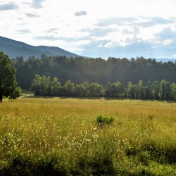 Sun Beams in the Smokies 