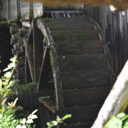 Old Mill Wheel