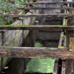 Old Water Way