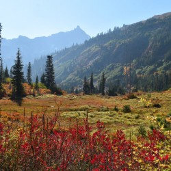 Autumn in the Mountains