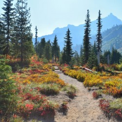 Path to the Mountains