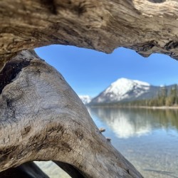 Mountain Through the Driftwood