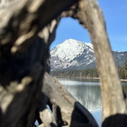 Driftwood Framed Mountain