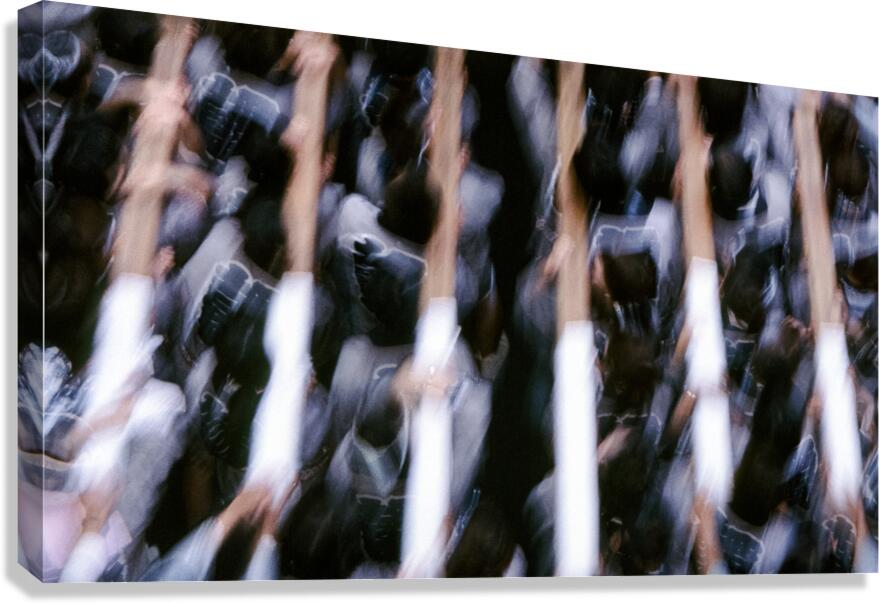 dcmm0003 Canvas Print