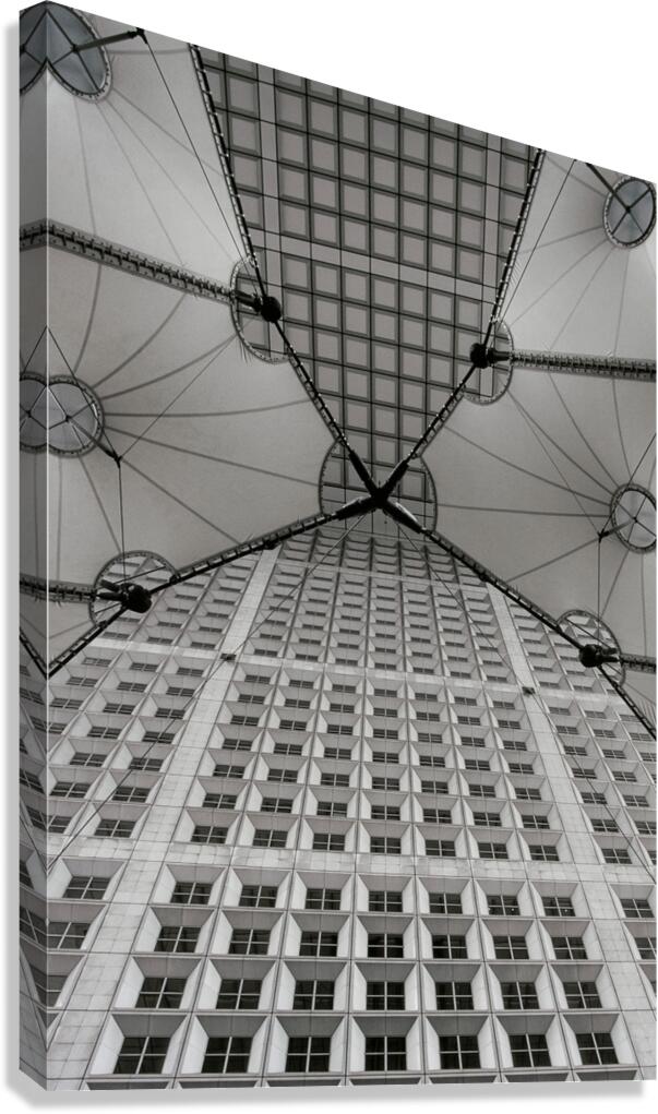 dcfr0001 Canvas Print