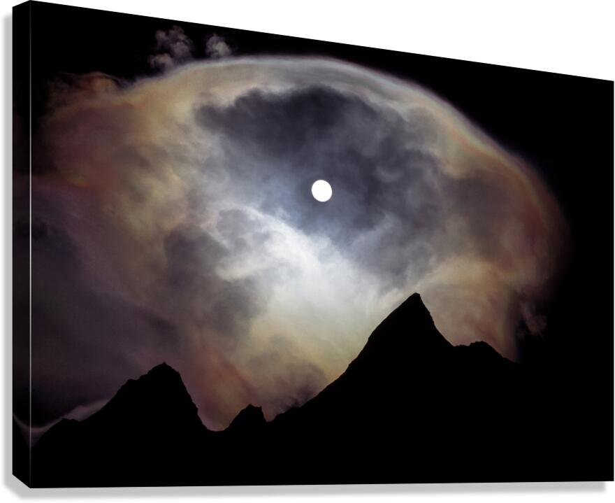 dcnp0010 Canvas Print