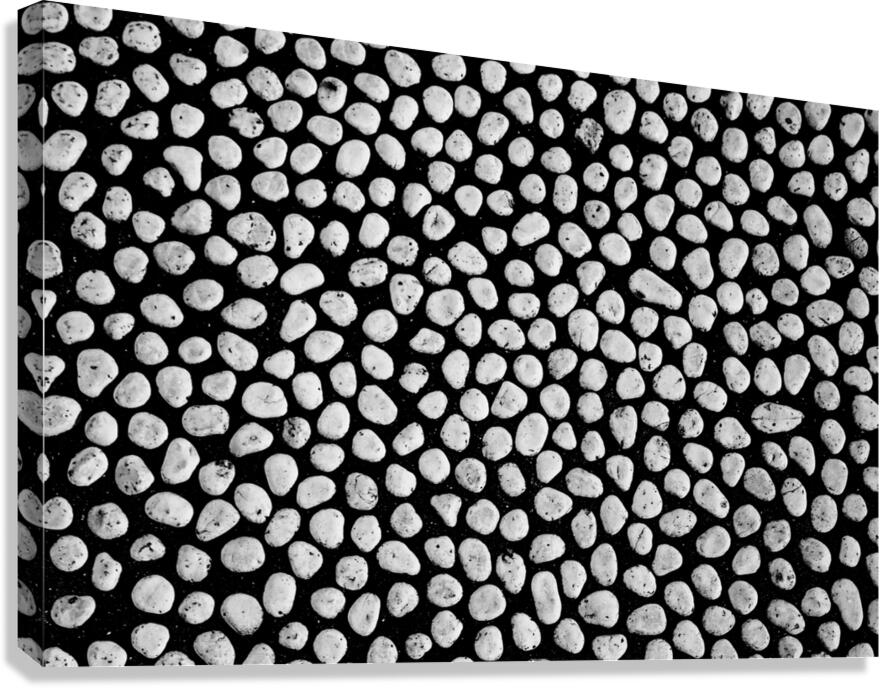 Pebble Floor Canvas Print