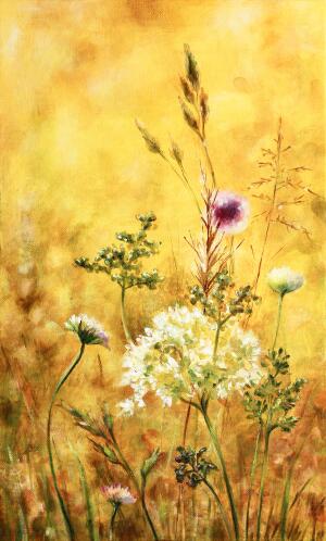 Midsummer meadow