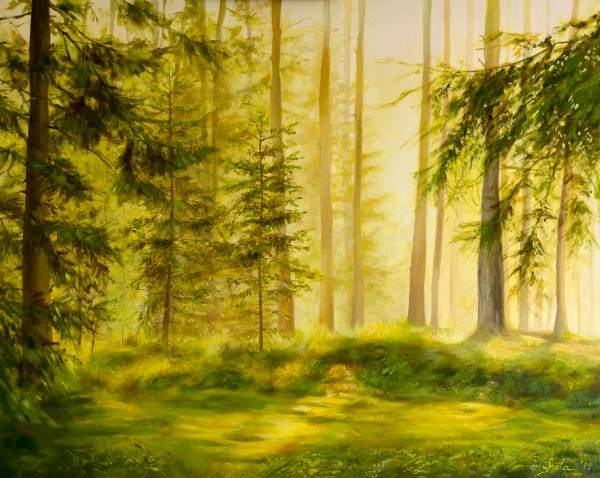Forest Sunset Print