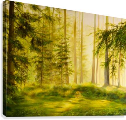 Forest Sunset Canvas Print