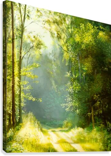 Forest Sun Canvas Print