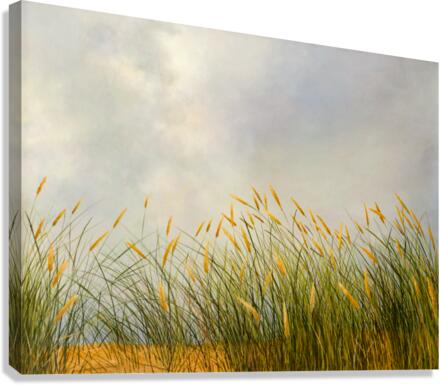 Before rain Canvas Print