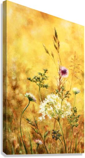 Midsummer meadow Canvas Print