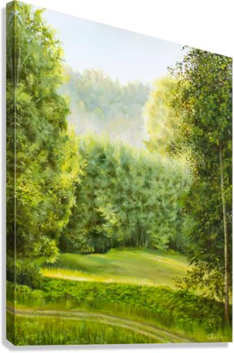 Chasing sunrise Canvas Print