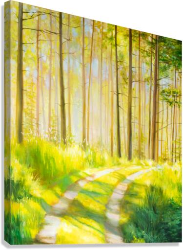 Inviting light Canvas Print