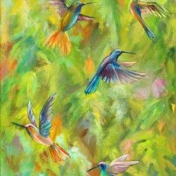 Hummingbird Dance