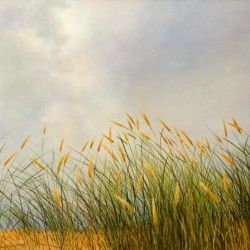 Before rain