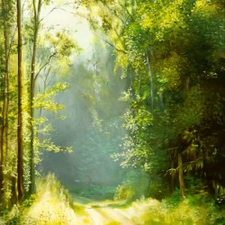 Forest Sun