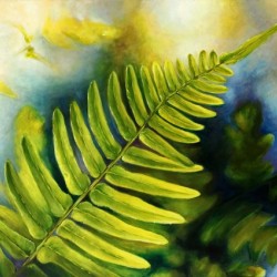 Fern Night