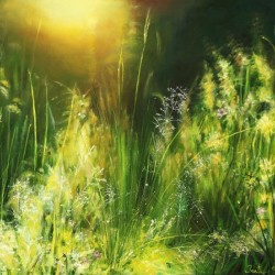 Sunrise Meadow