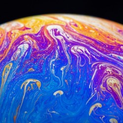 Soap Bubble Close Up