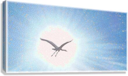 Icarus Canvas Print