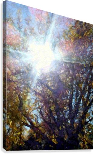 Rainbow Sunbeams  Canvas Print