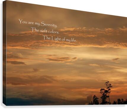 Bronzed sunset quote Canvas Print