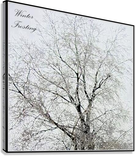 Winter Frosting Canvas Print