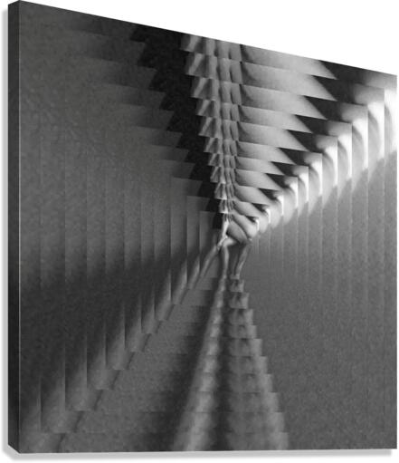 Intertwined Dimensional Canvas Print