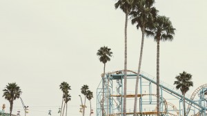 Santa Cruz Palm Trees
