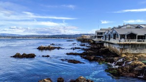 Monterey Coast