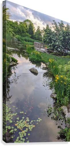 Peaceful Stream Canvas Print