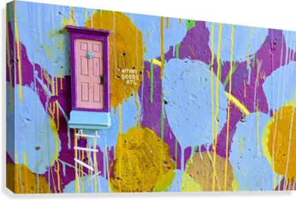 TinyDoorsAtl Canvas Print