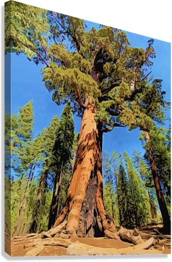 Big Tree Energy Canvas Print