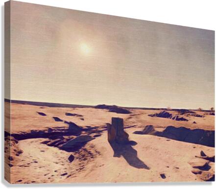 Venus Canvas Print