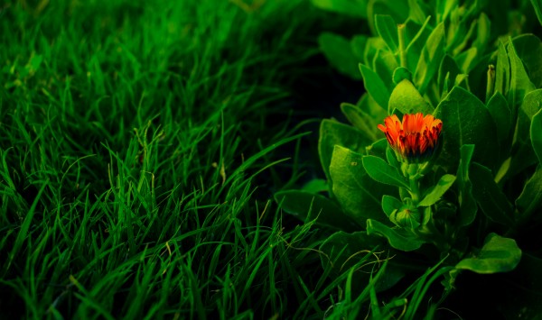 Solitude of Happiness by Photopoet