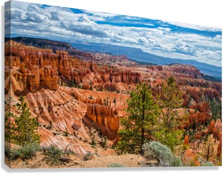 Bryce Canyon  Canvas Print
