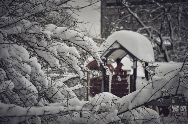 Red Playground Under Snow by Ann Romanenko