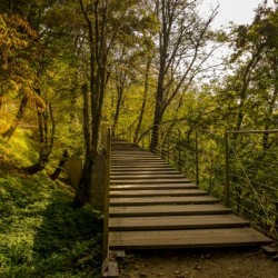 Bridge to Autumn