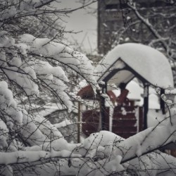 Red Playground Under Snow