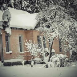 House in Winter Forest