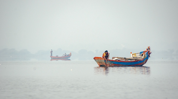 Fishing  Print