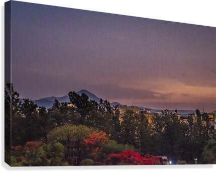 Evening  light  Canvas Print