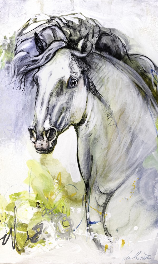 24x40 site by Lea Riviere