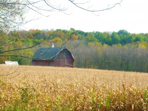 After the Harvest